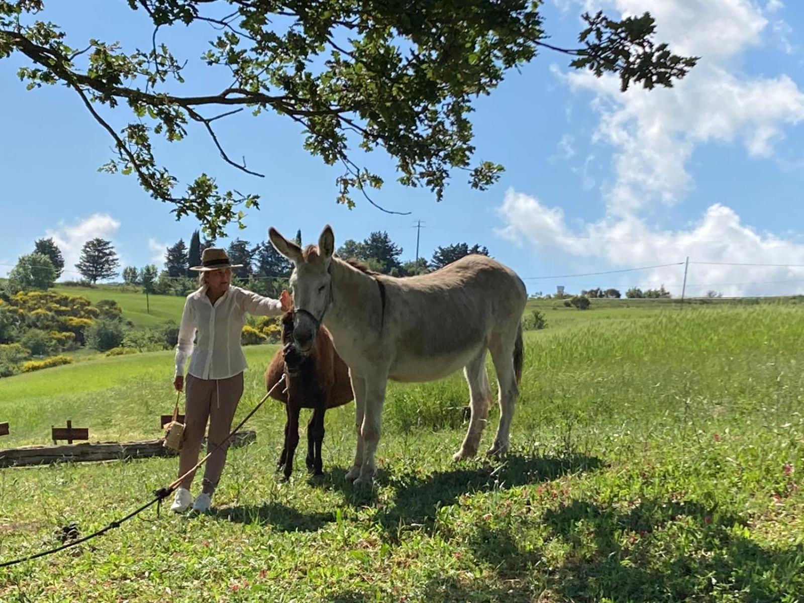 Alojamento de Turismo Rural Selvella